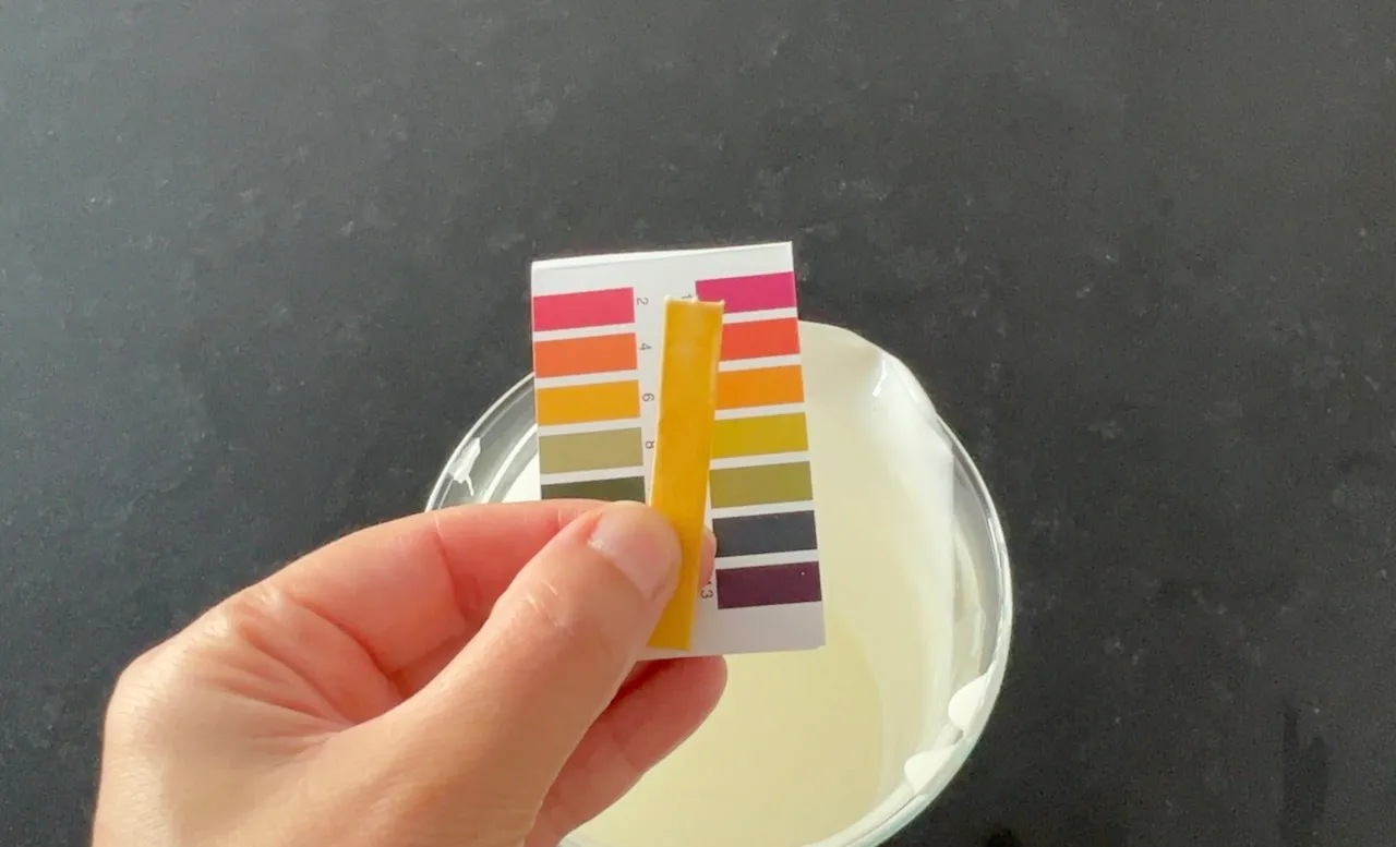 All Purpose Cream — step 23