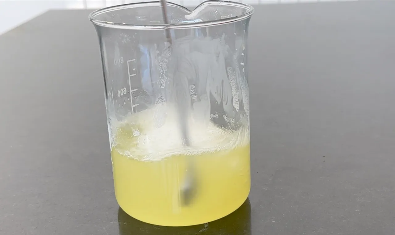 DIY Liquid Dish Soap Recipe (Gentle on Hands, No SLS, 5 Ingredients) — step 18