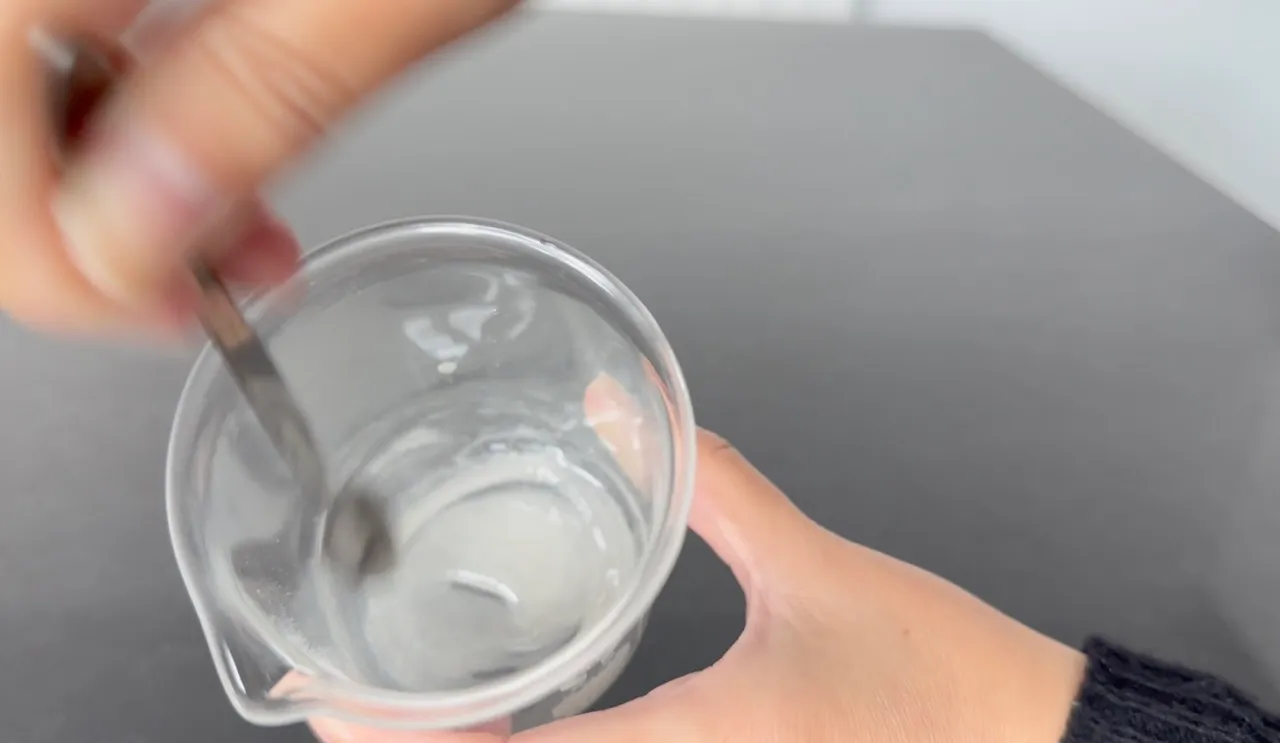 Leave-In Conditioner (No BTMS) — step 11