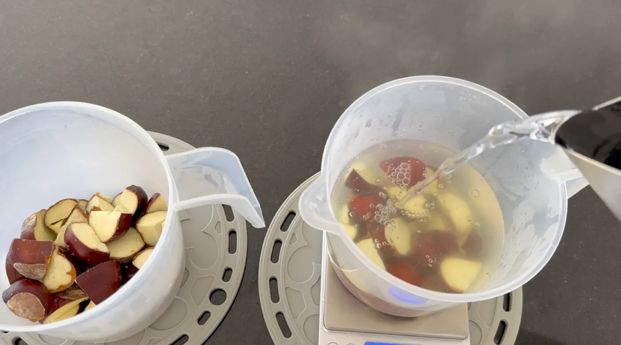 Horse Chestnuts Cleanser — step 17