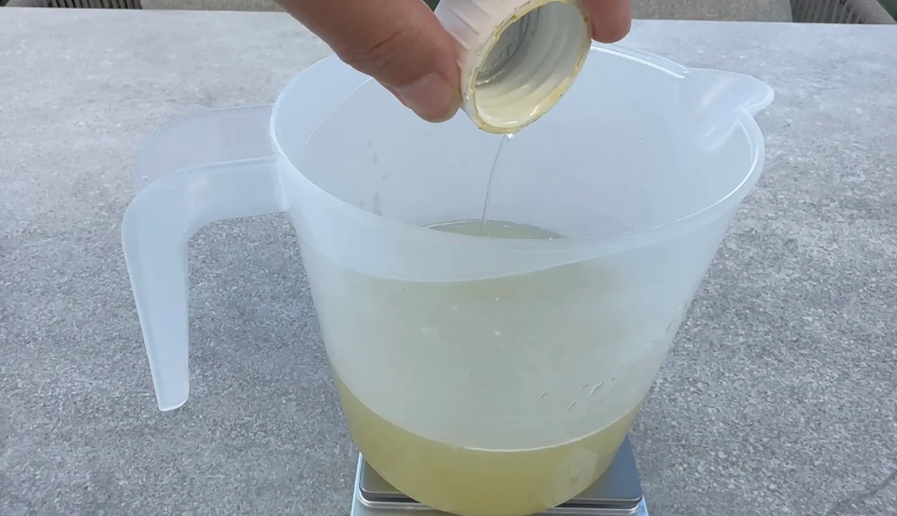 Horse Chestnuts Cleanser — step 25