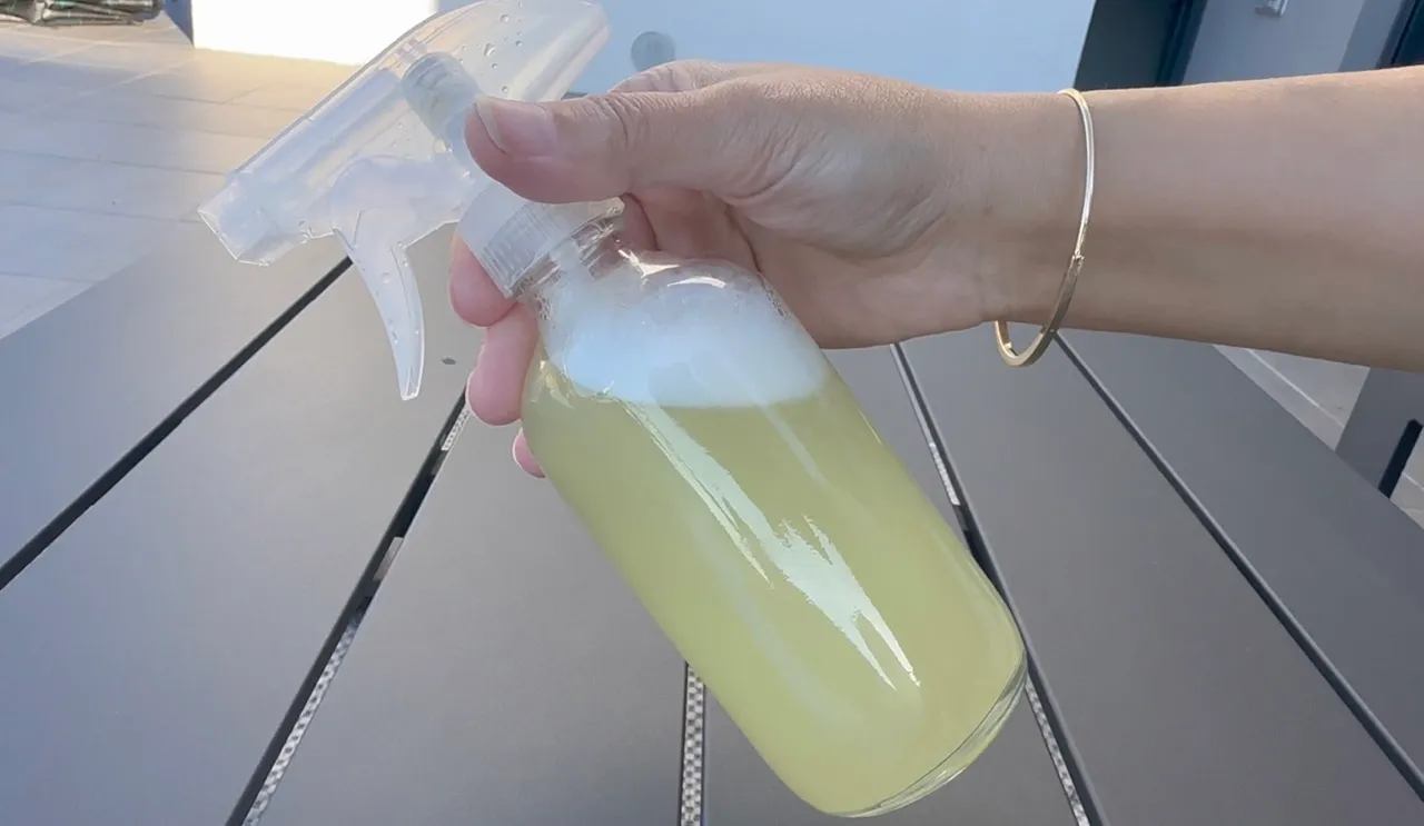 Horse Chestnuts Cleanser — step 3