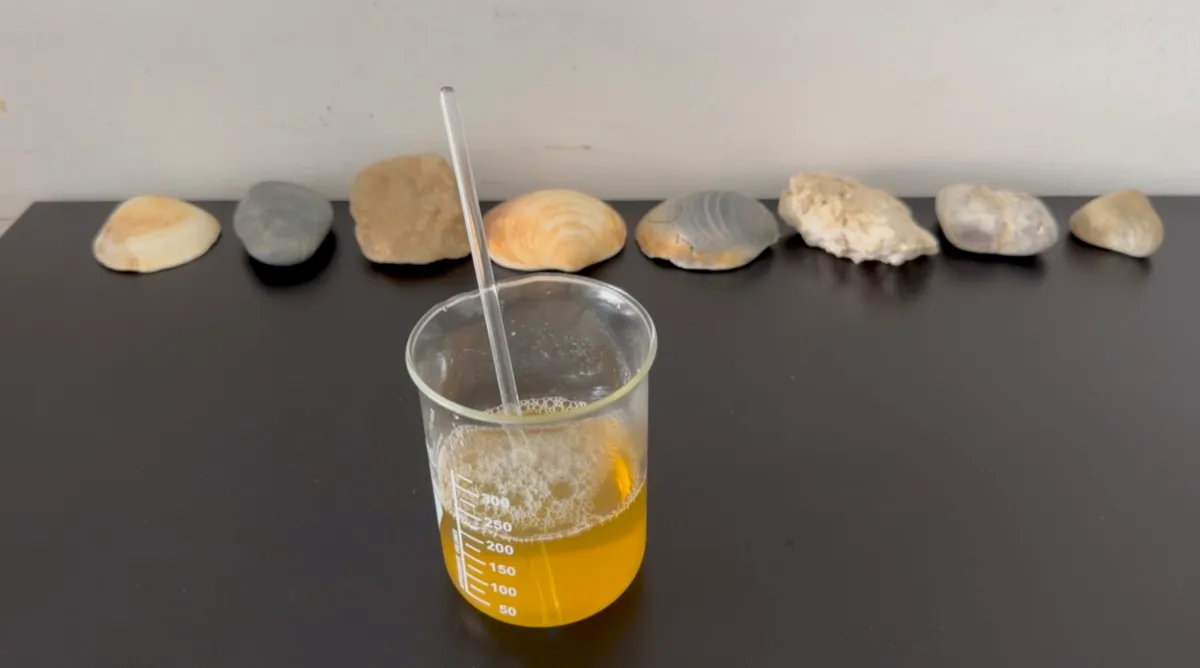 Transferring to foaming bottle
