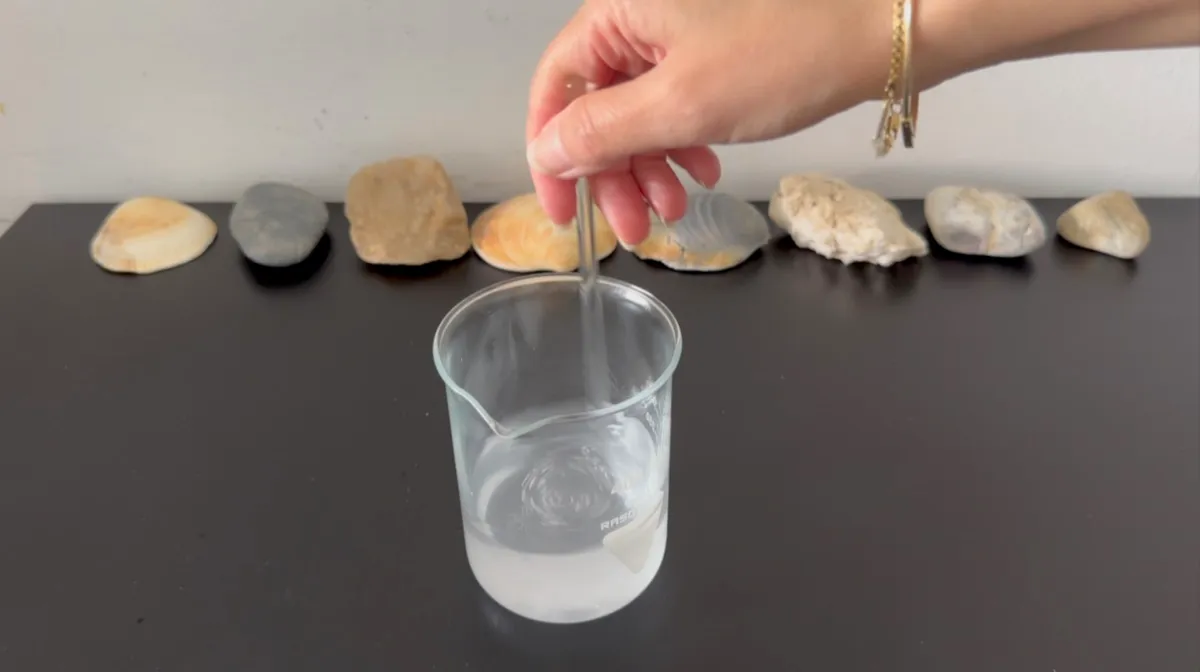 EDTA fully dissolved