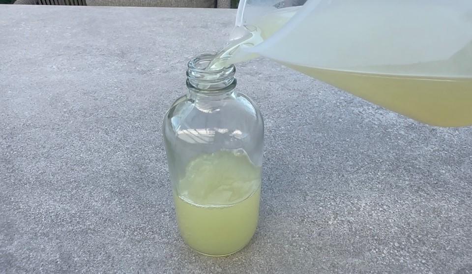 NUTSCLEANSER31