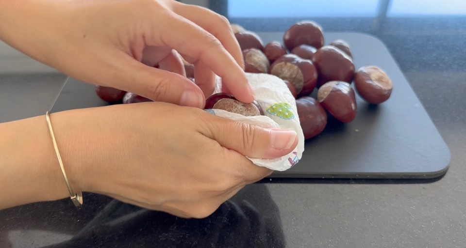 NUTSCLEANSER11